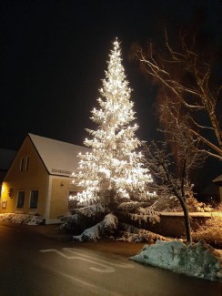 Beleuchteter Weihnachtsbaum vor der Kirche