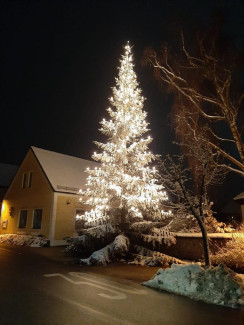 Beleuchteter Weihnachtsbaum vor der Kirche